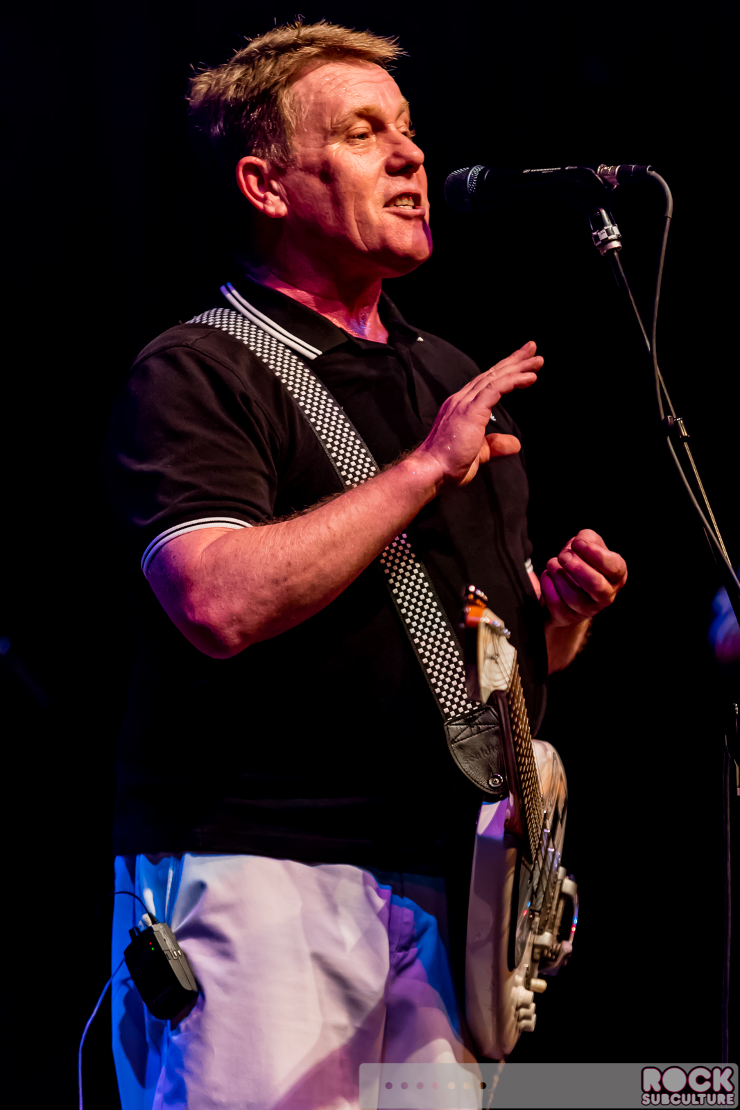 English-Beat-2015-Tour-1207
