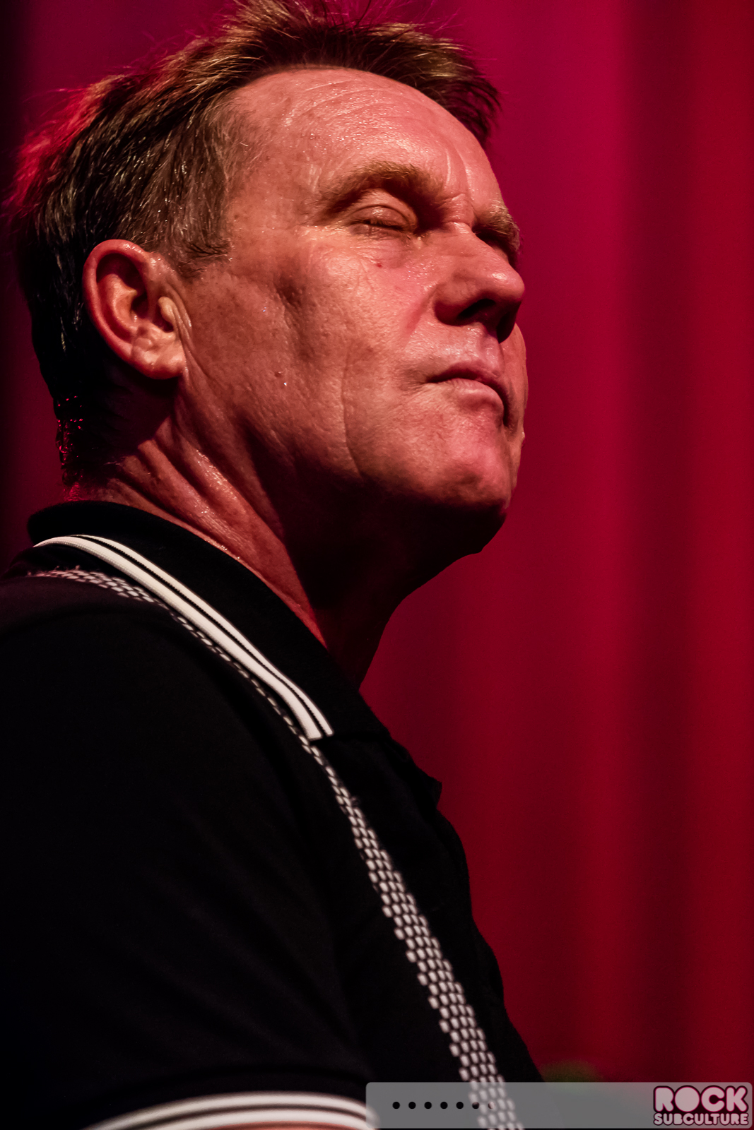 English-Beat-2015-Tour-1303