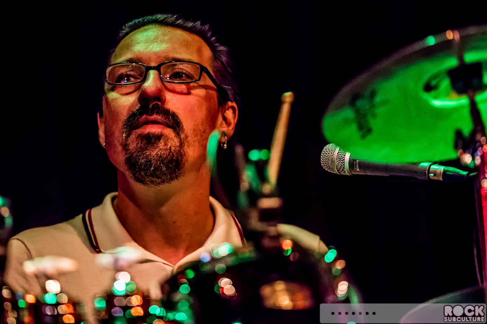 English-Beat-2015-Tour-1314