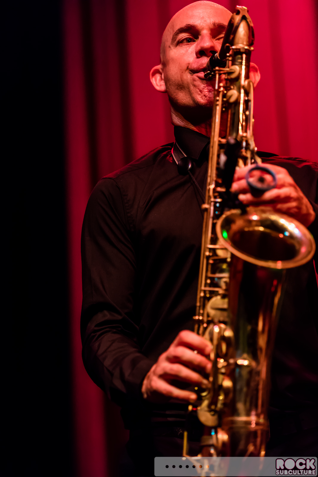 English-Beat-2015-Tour-1360