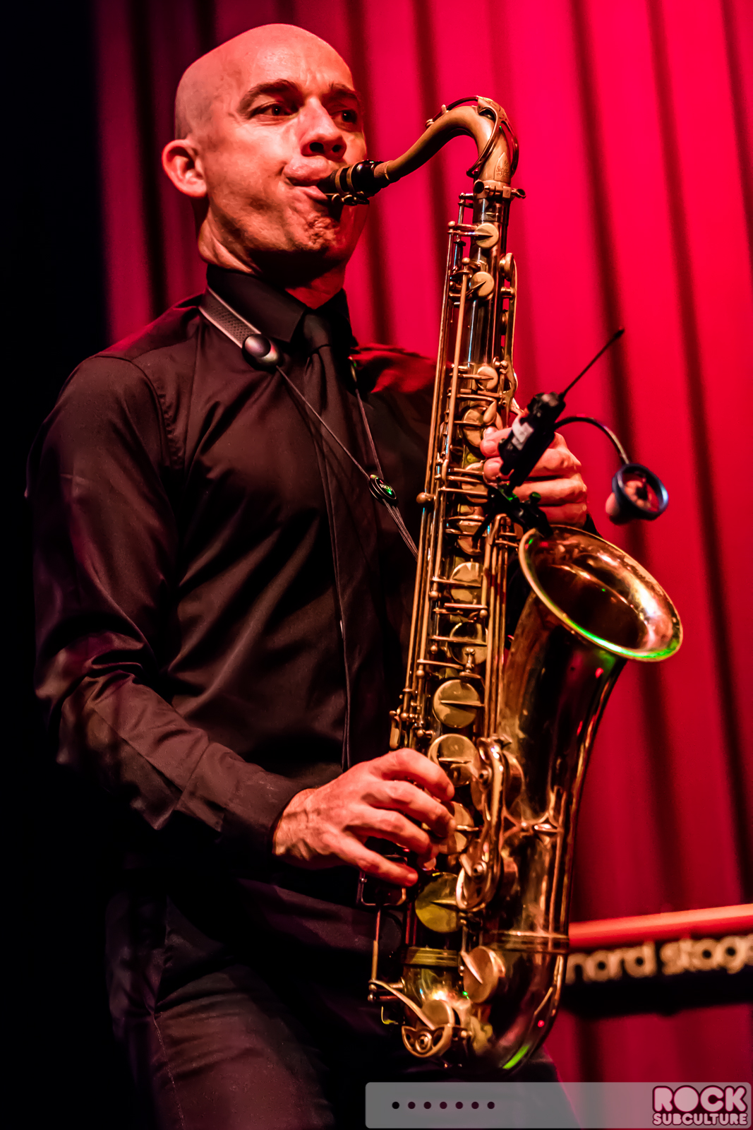 English-Beat-2015-Tour-1361