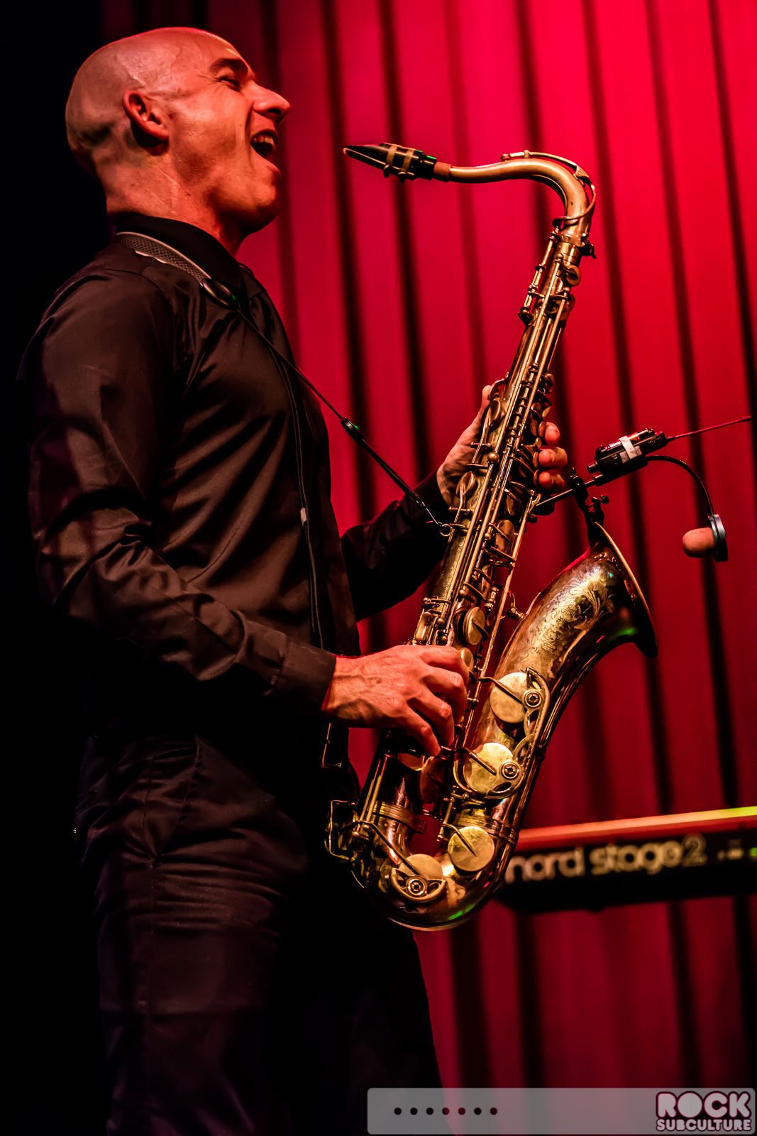 English-Beat-2015-Tour-1363