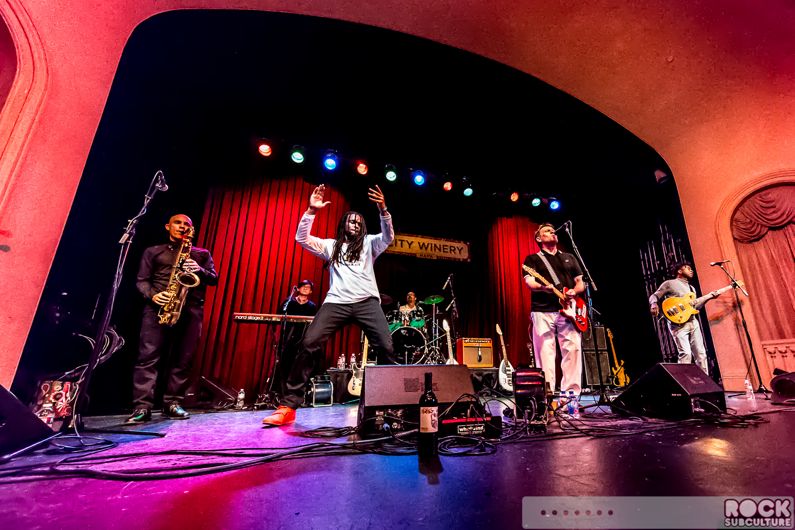 English-Beat-2015-Tour-1529