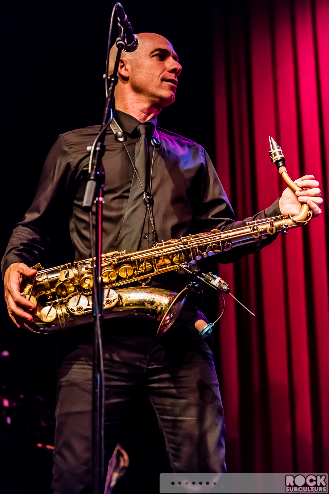 English-Beat-2015-Tour-1655