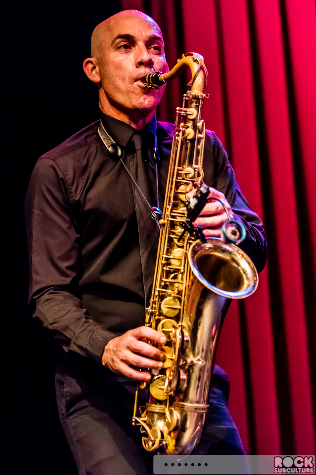 English-Beat-2015-Tour-1673