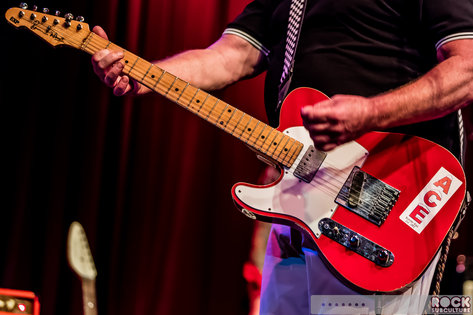 English-Beat-2015-Tour-1729