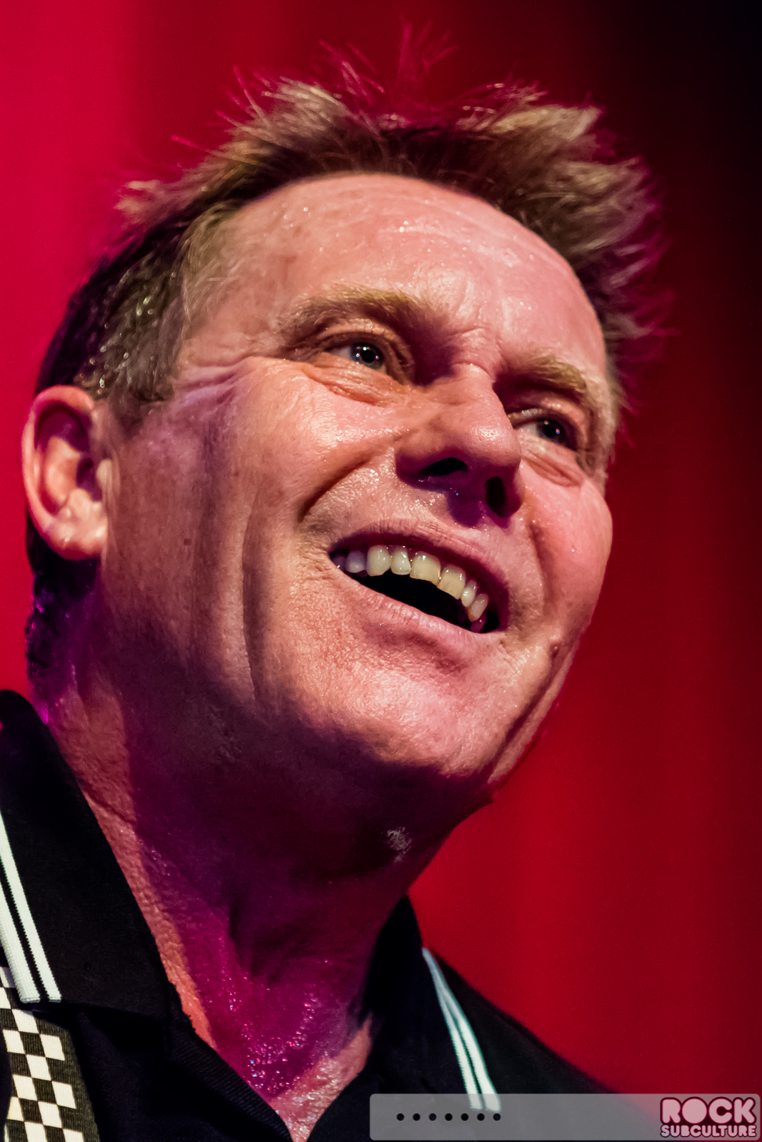English-Beat-2015-Tour-1740