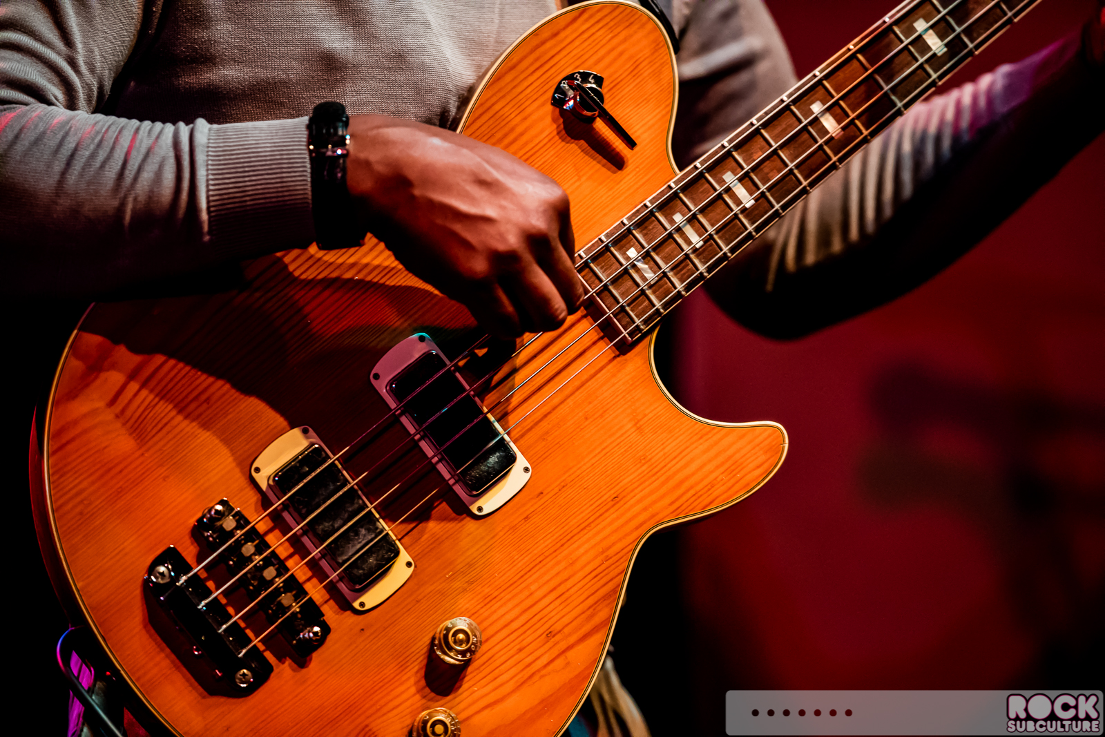 English-Beat-2015-Tour-1745