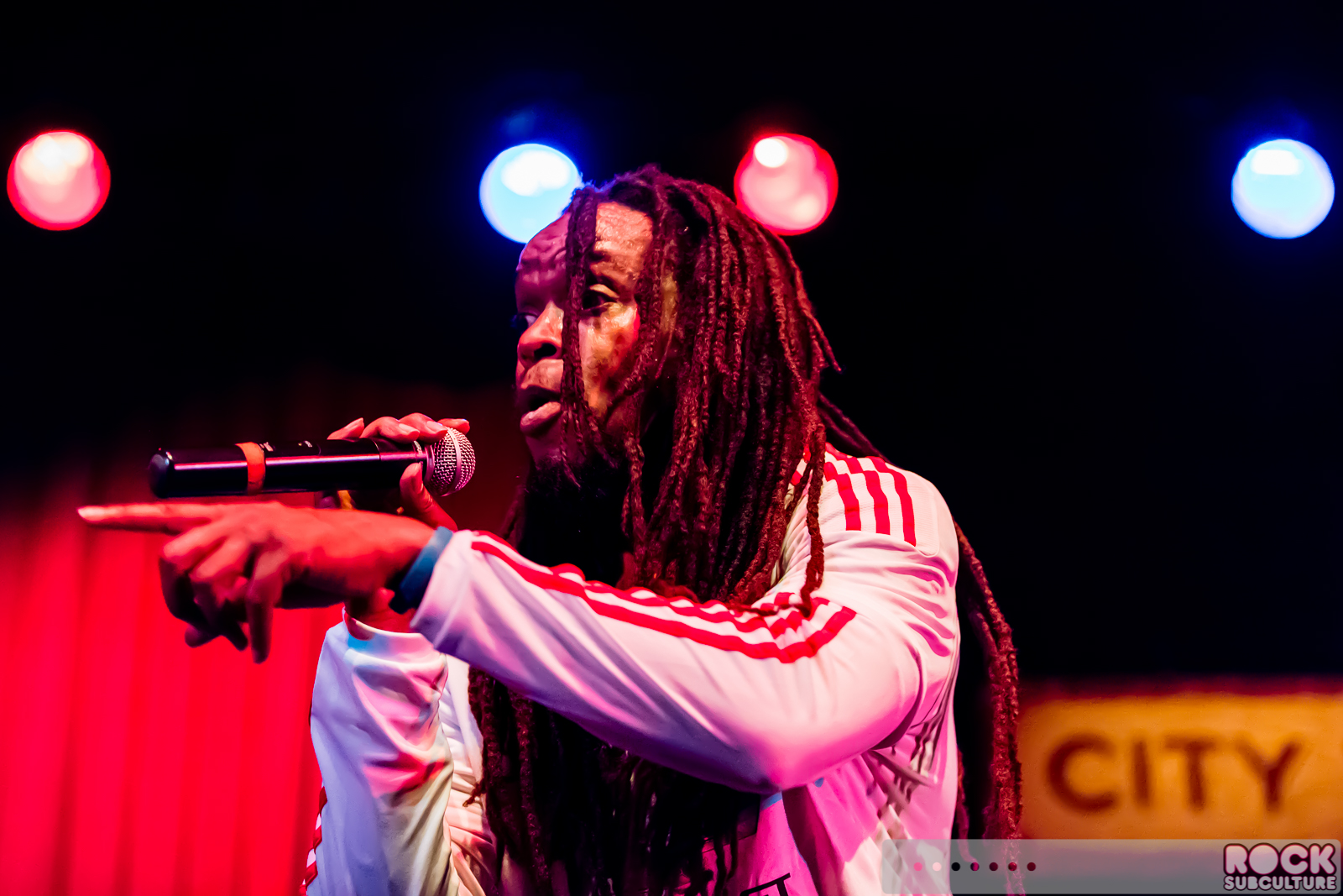 English-Beat-2015-Tour-1794