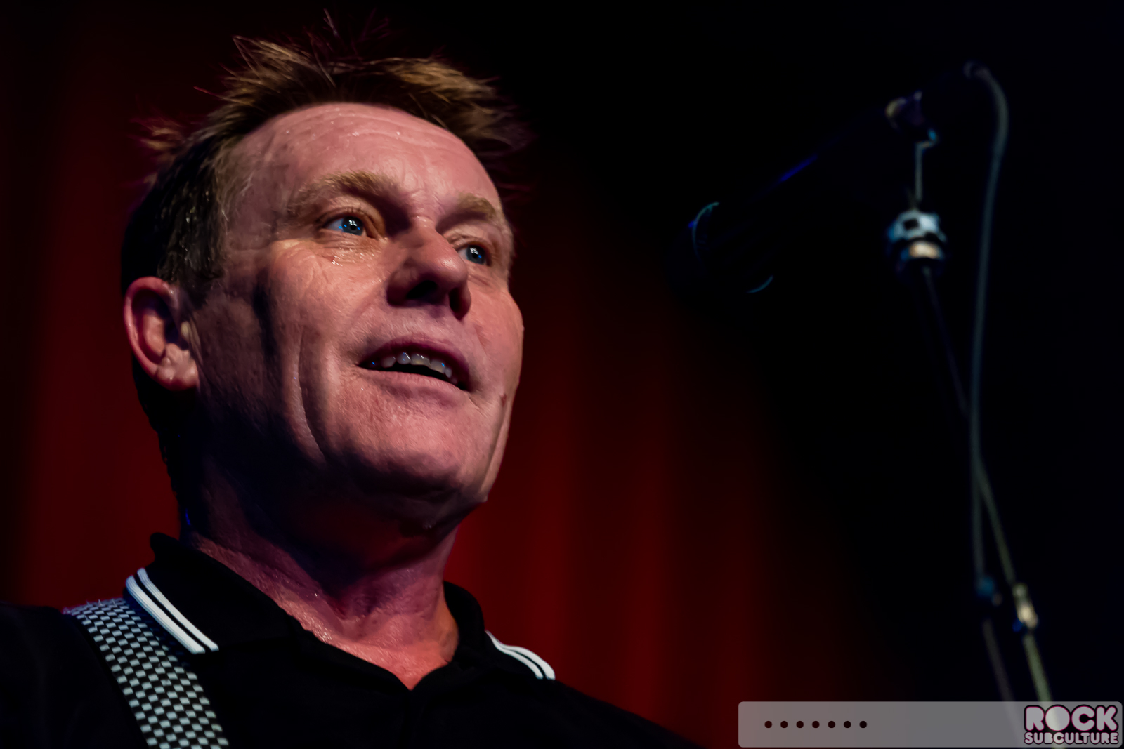 English-Beat-2015-Tour-1860