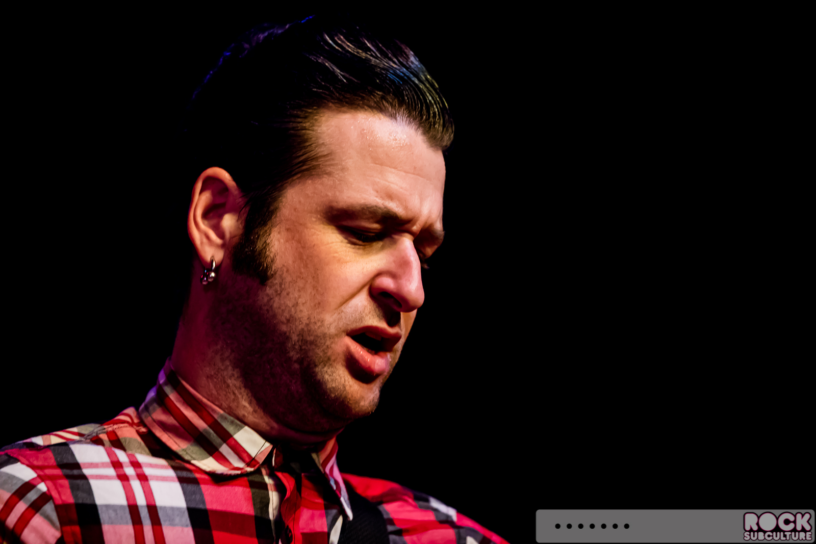 English-Beat-2015-Tour-1940