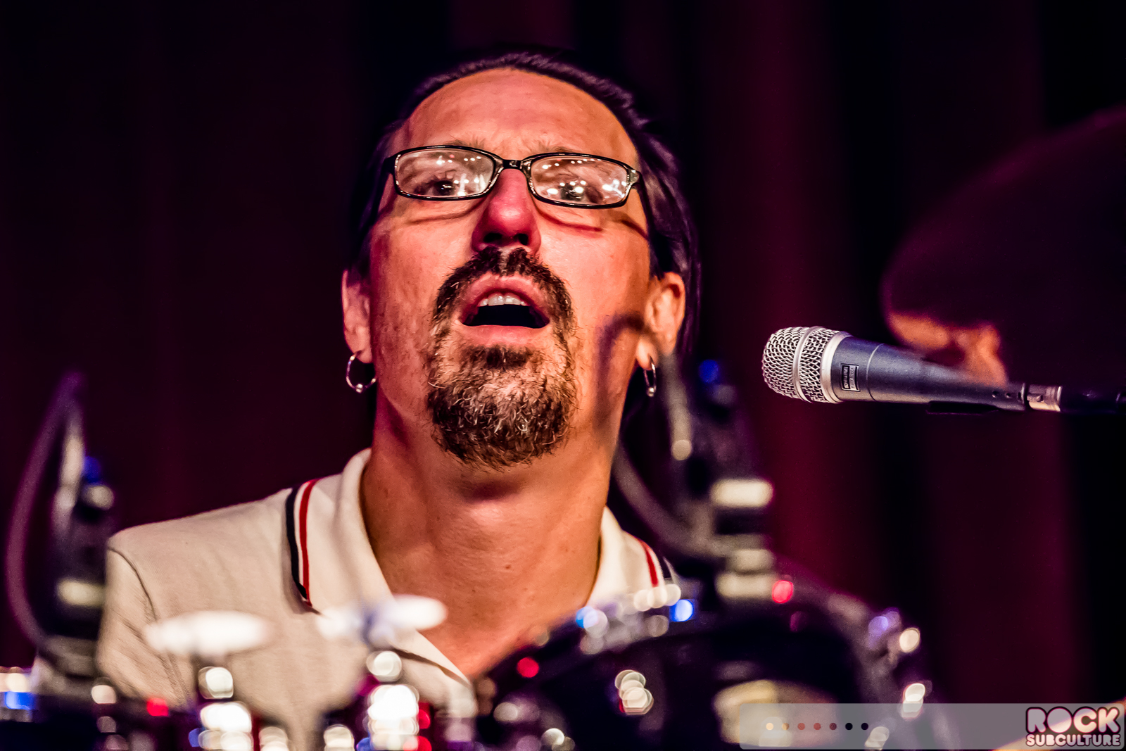 English-Beat-2015-Tour-2210