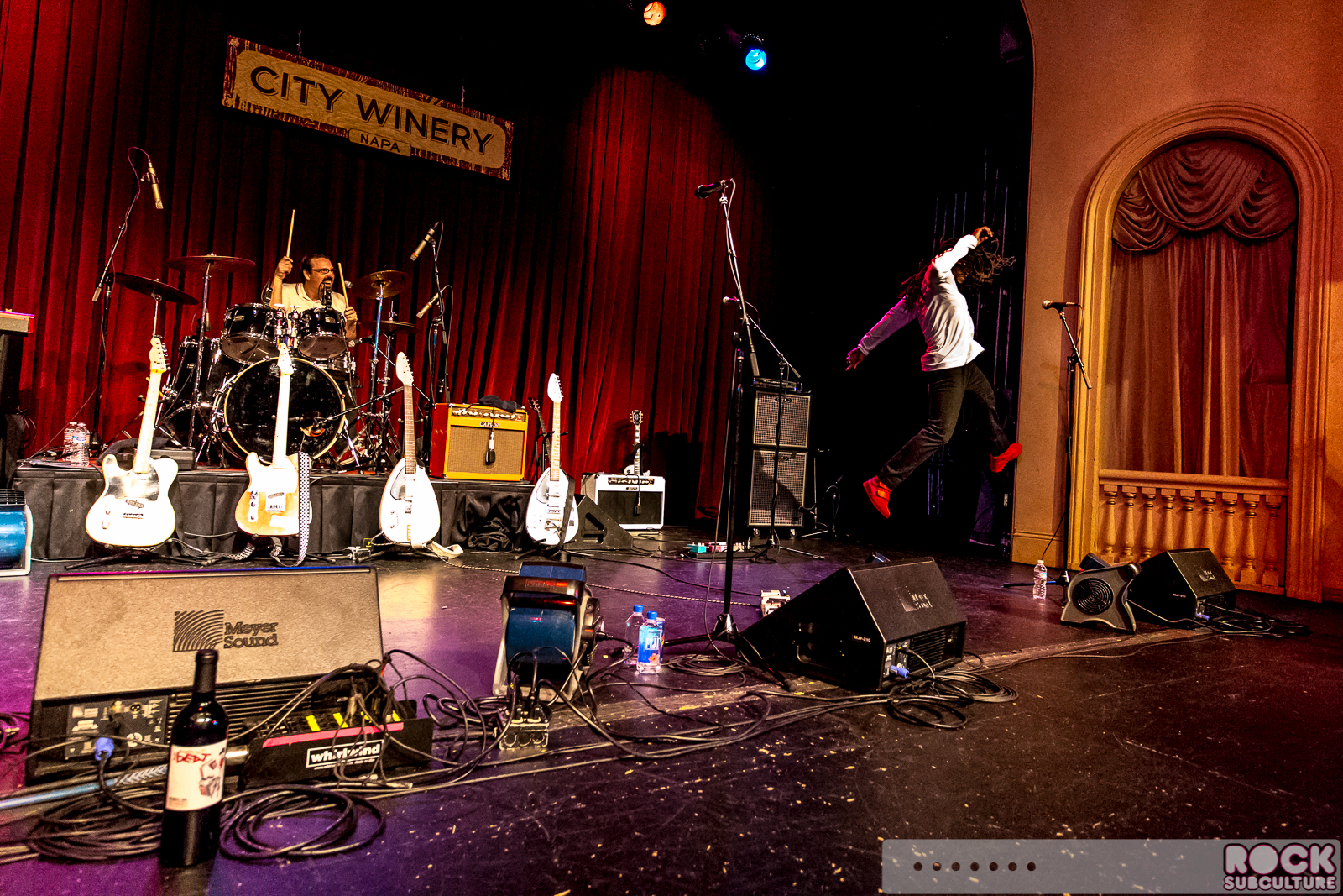 English-Beat-2015-Tour-2305