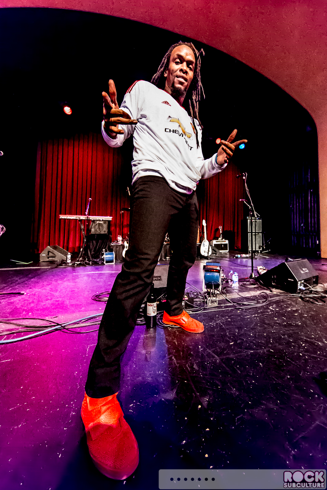 English-Beat-2015-Tour-2406