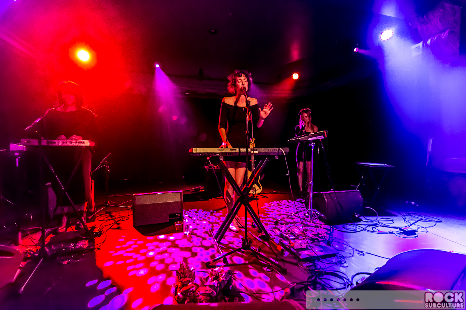 The-Bird-And-The-Bee-2015-Concert-Review-Tour-Live-Photos-0422