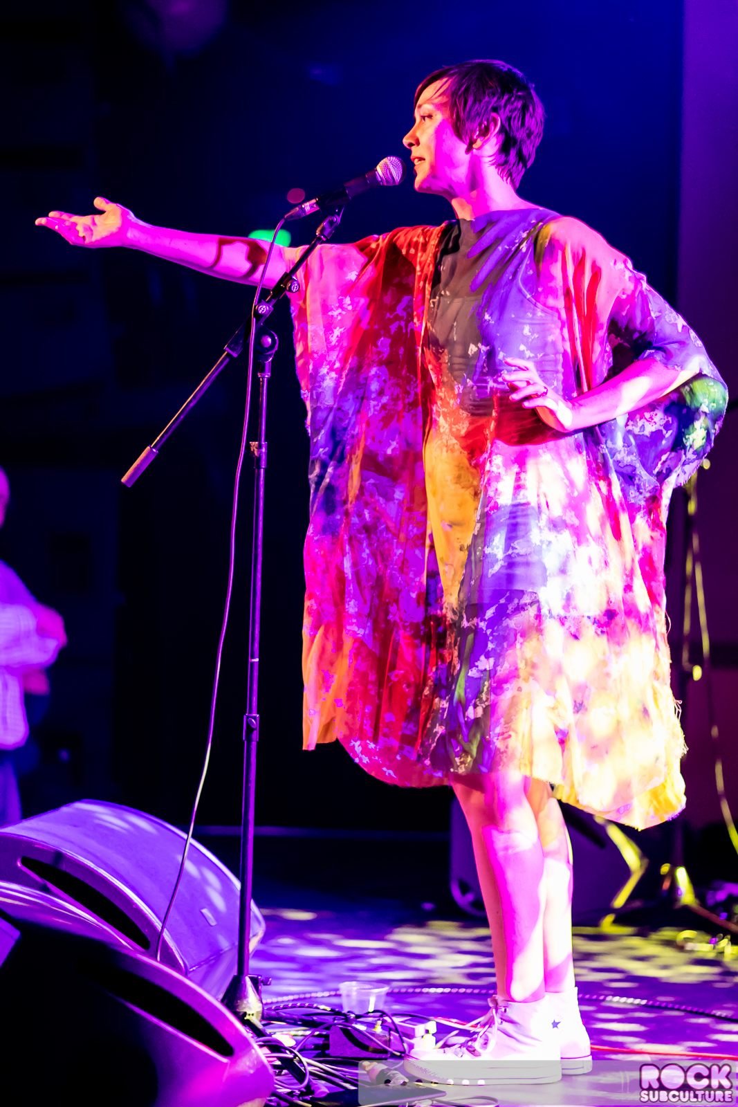 The-Bird-And-The-Bee-2015-Concert-Review-Tour-Live-Photos-1766