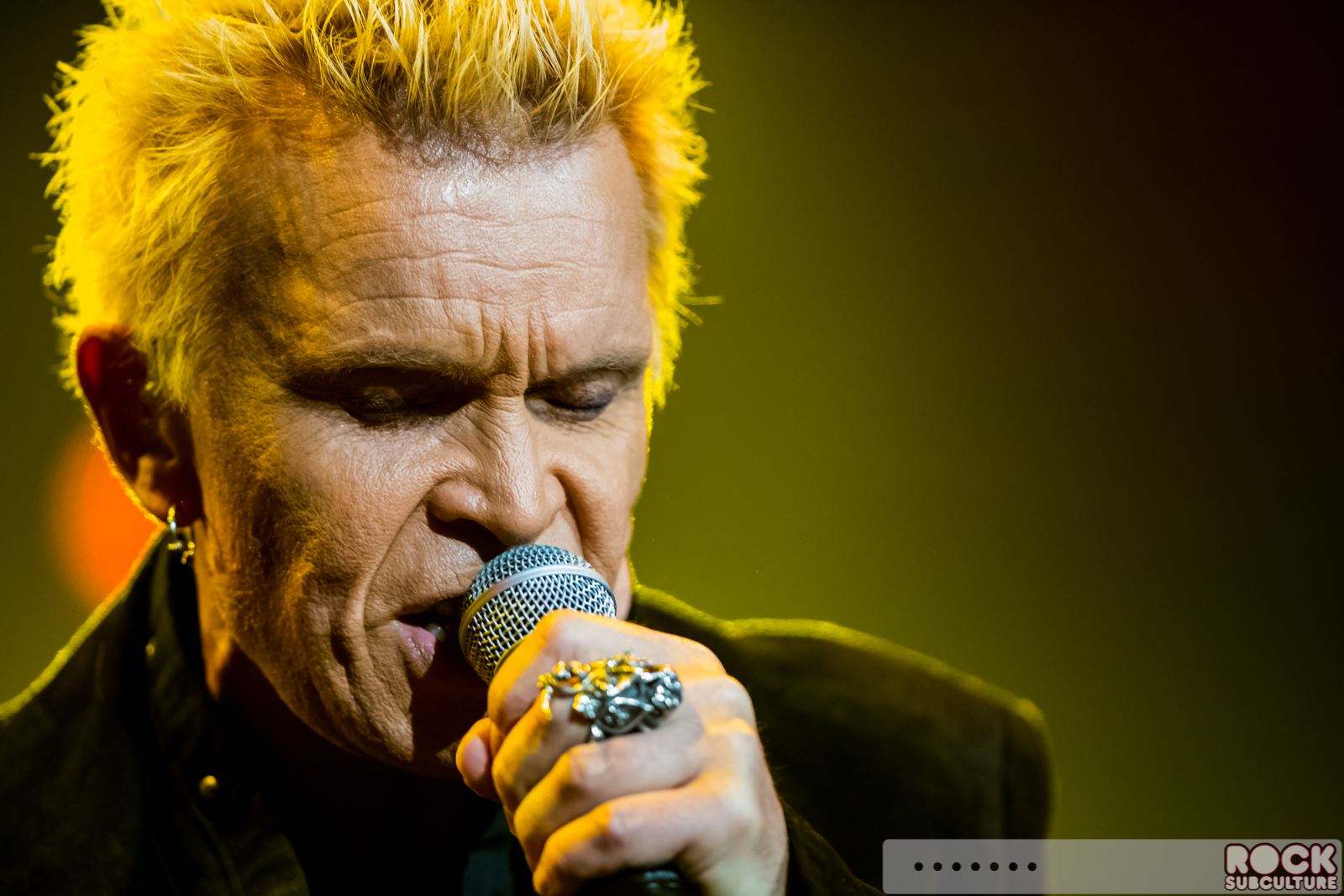 Rock-Subculture-100-Best-Concert-Photos-2015-Jason-DeBord-Photography-045
