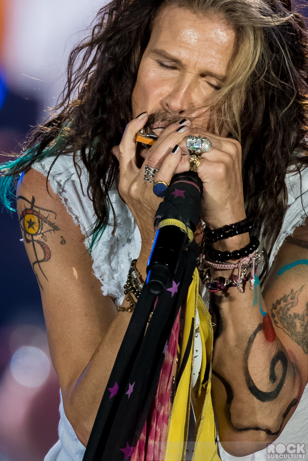 Rock-Subculture-100-Best-Concert-Photos-2015-Jason-DeBord-Photography-060