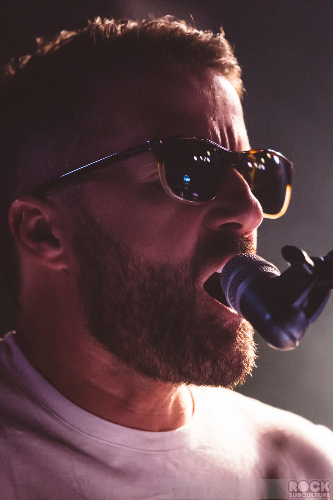 Rock-Subculture-100-Best-Concert-Photos-2015-Jason-DeBord-Photography-081