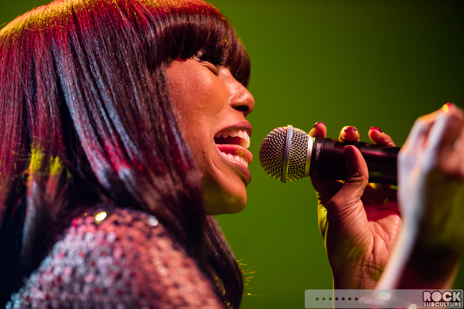 Chic-Nile-Rodgers-2016-Concert-Review-Photos-1093