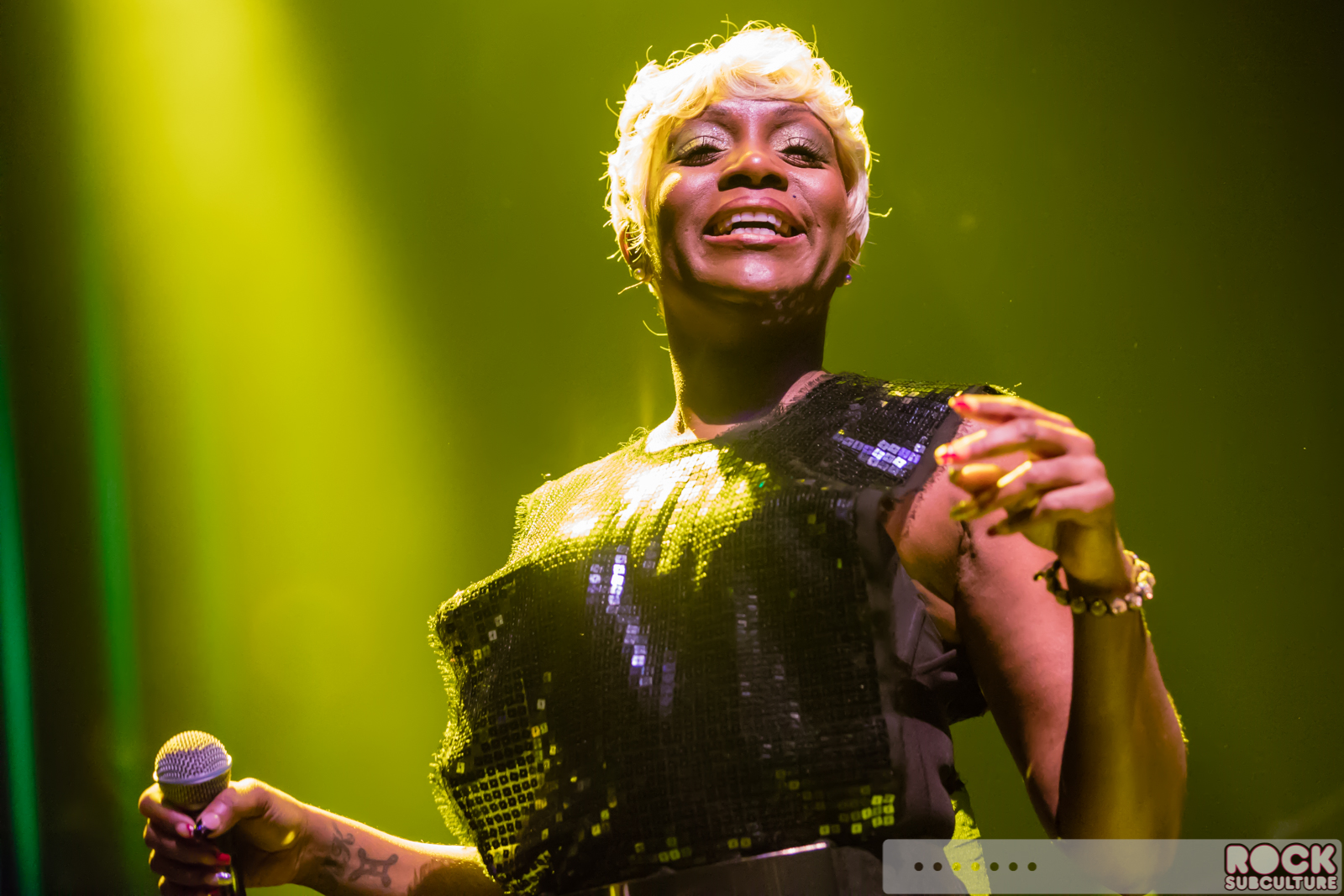 Chic-Nile-Rodgers-2016-Concert-Review-Photos-1503