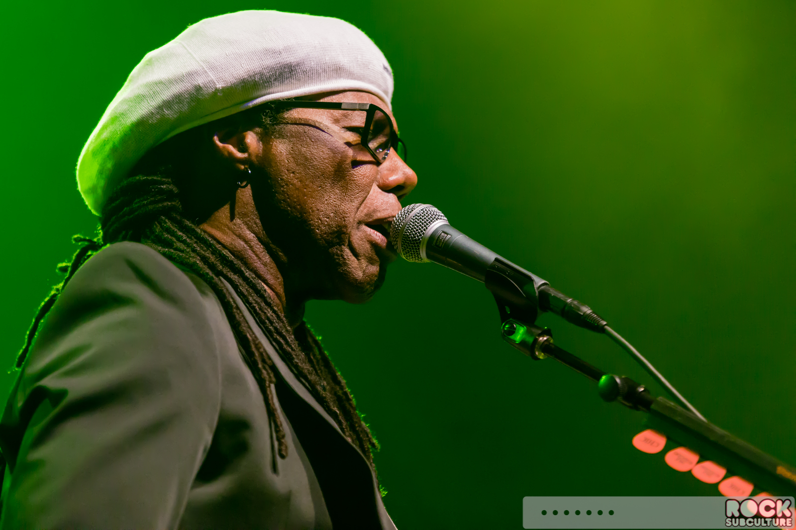 Chic-Nile-Rodgers-2016-Concert-Review-Photos-1562