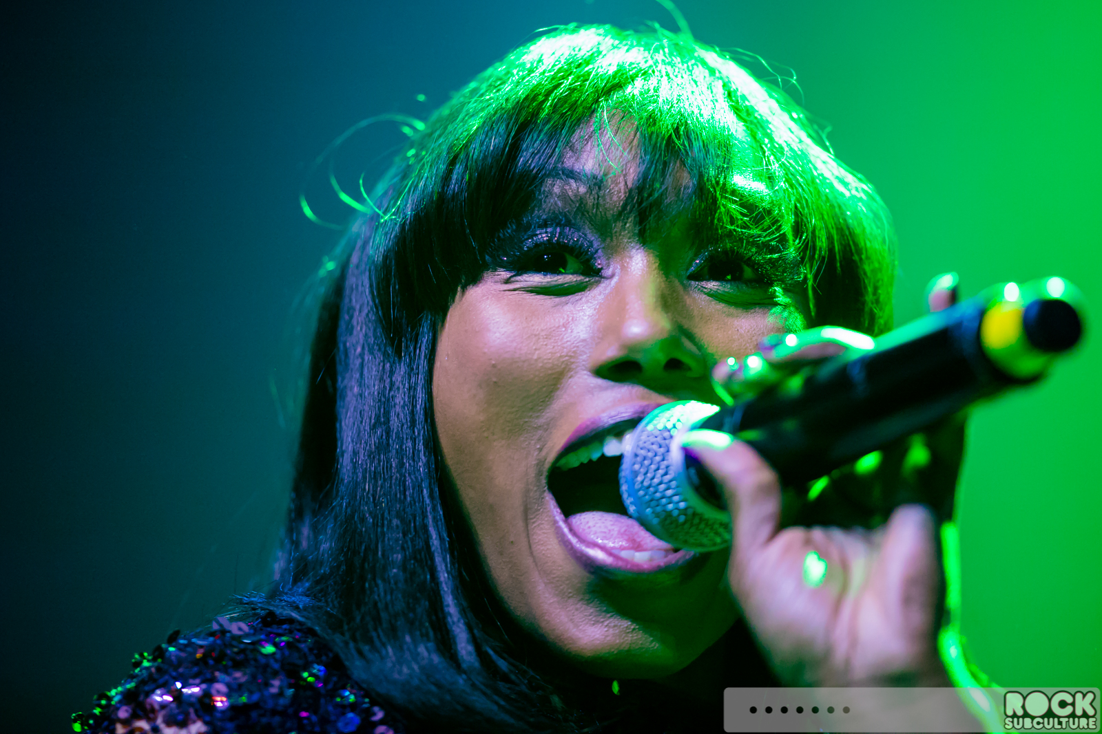 Chic-Nile-Rodgers-2016-Concert-Review-Photos-2424