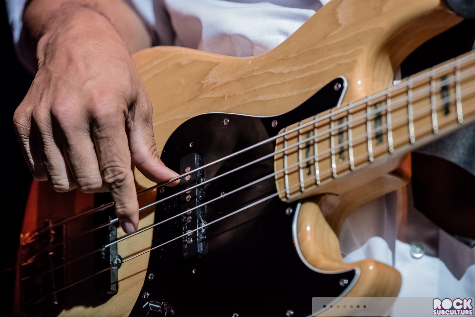 Chic-Nile-Rodgers-2016-Concert-Review-Photos-3288