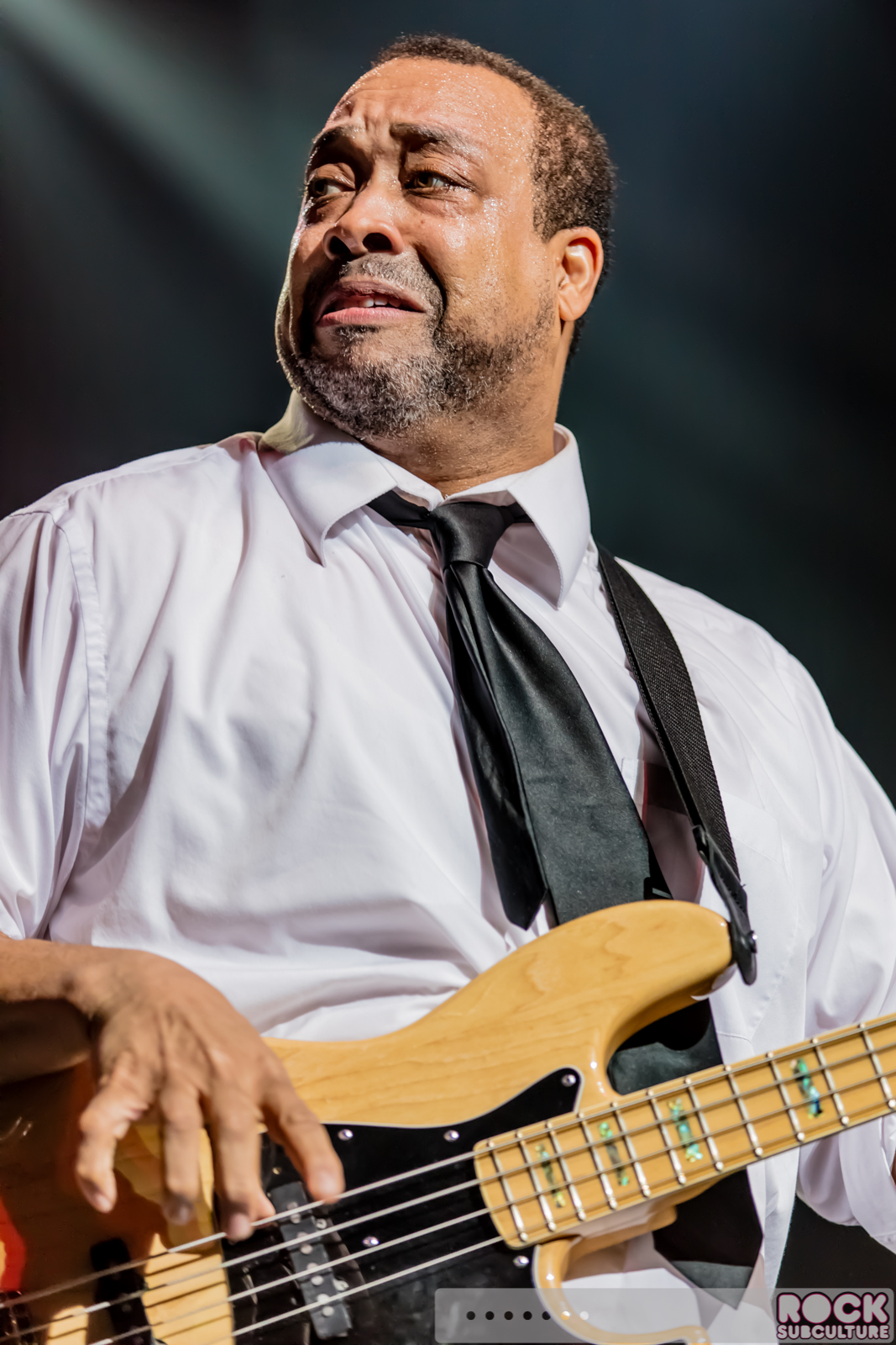 Chic-Nile-Rodgers-2016-Concert-Review-Photos-3726