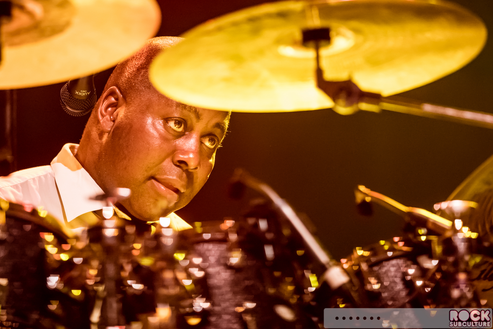 Chic-Nile-Rodgers-2016-Concert-Review-Photos-4080