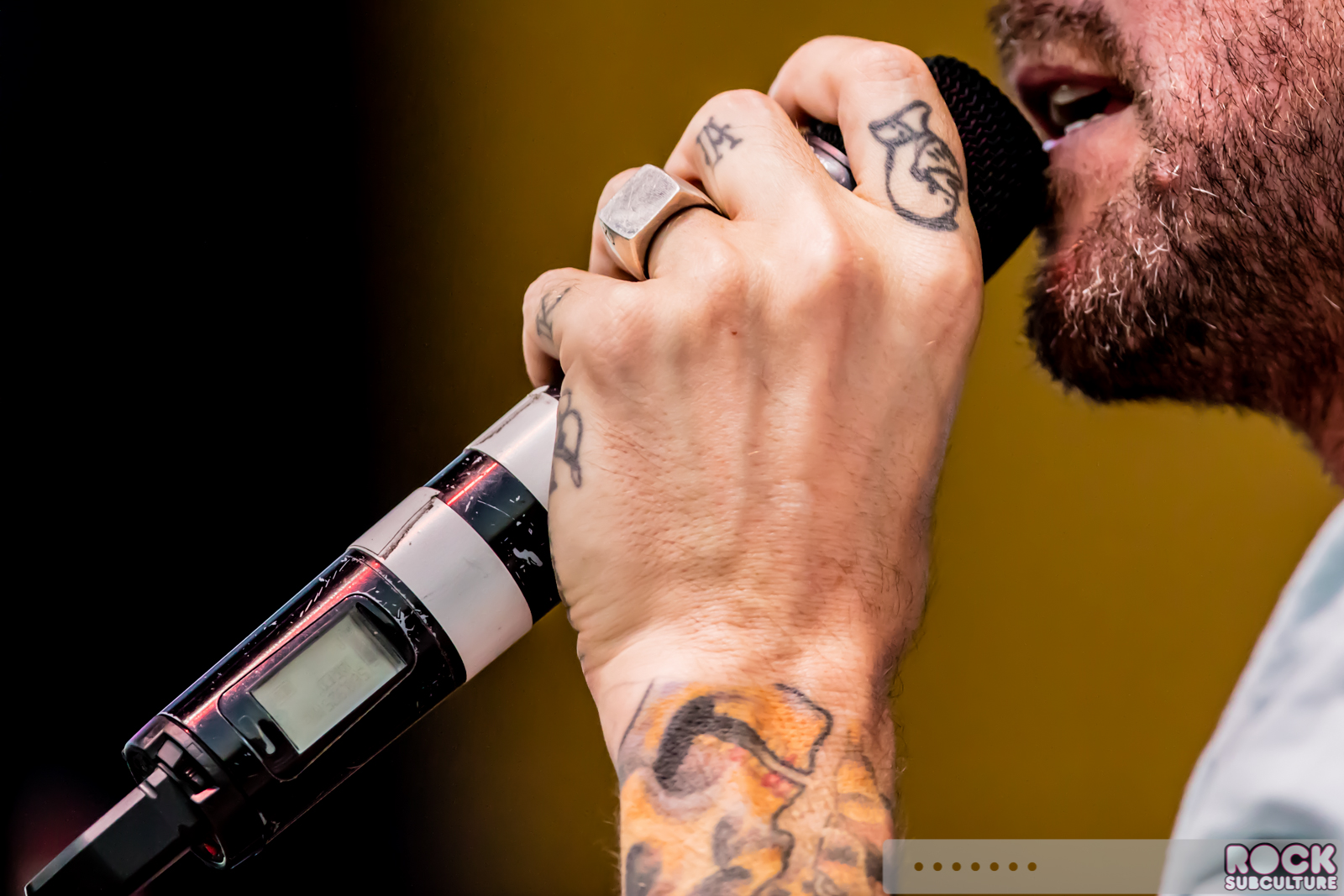 Sublime-with-Rome-2016-Tour-Concert-Review-Photos-Ironstone-Richter-Entertainment-Group-161