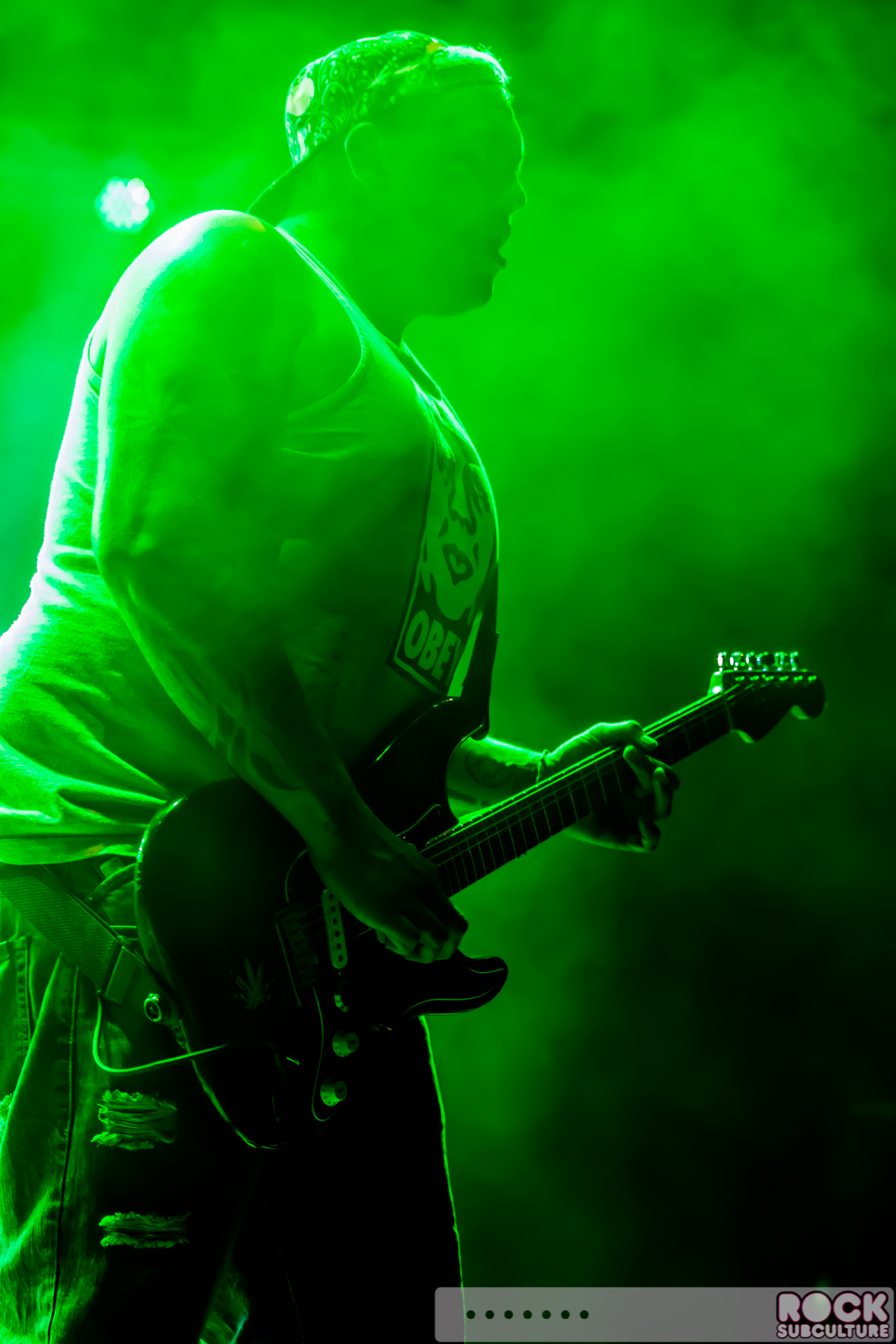Sublime-with-Rome-2016-Tour-Concert-Review-Photos-Ironstone-Richter-Entertainment-Group-224