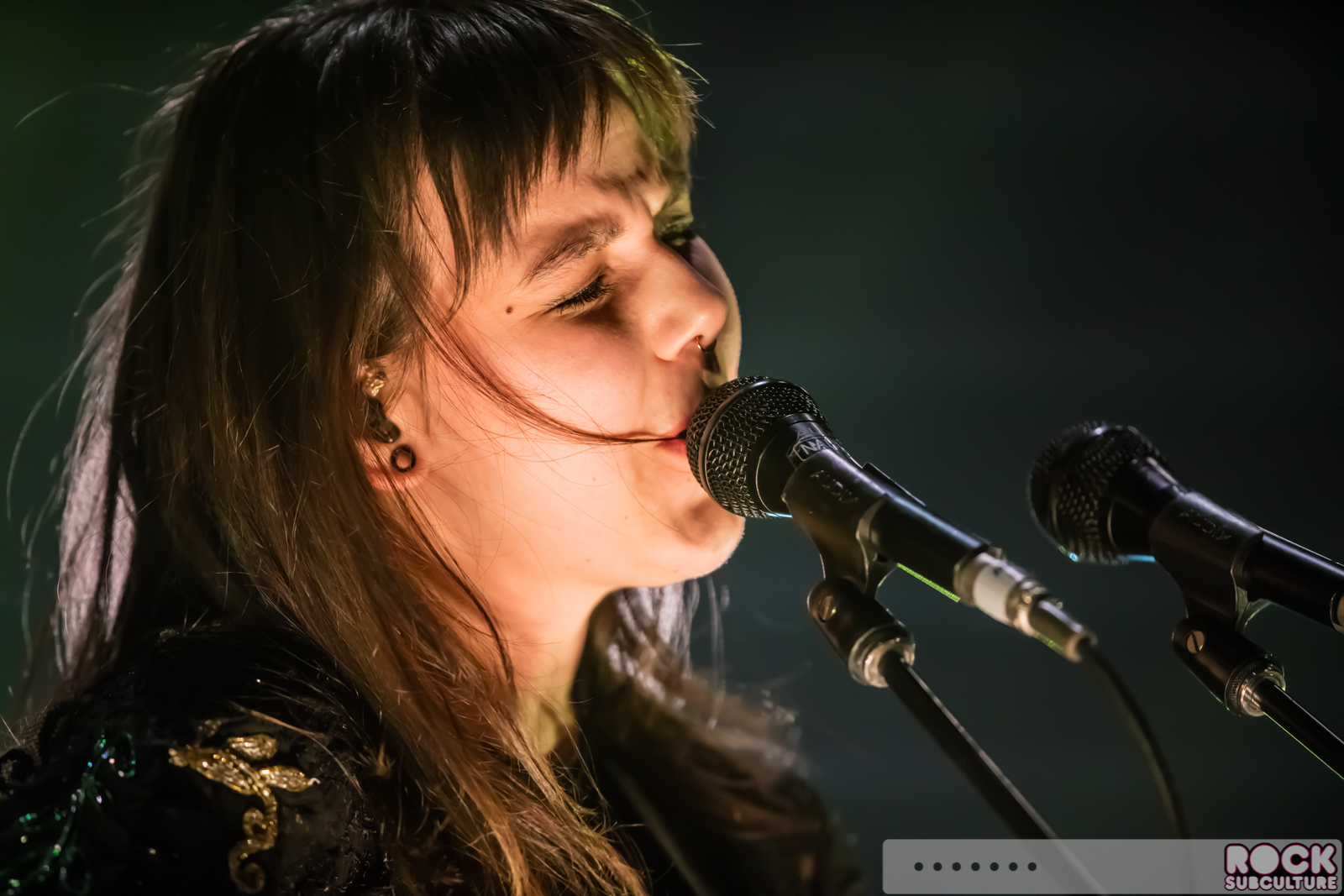 Rock-Subculture-Journal-Concert-Photos-2016-Jason-DeBord-Photography-219