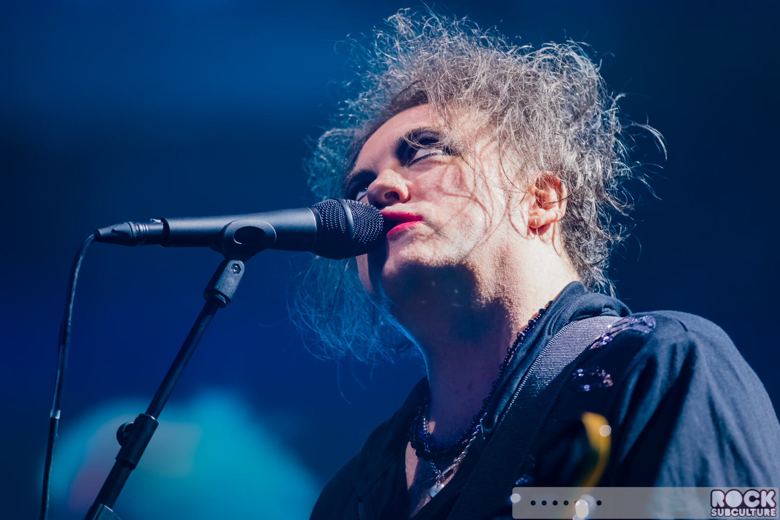 Rock-Subculture-Journal-Concert-Photos-2016-Jason-DeBord-Photography-241