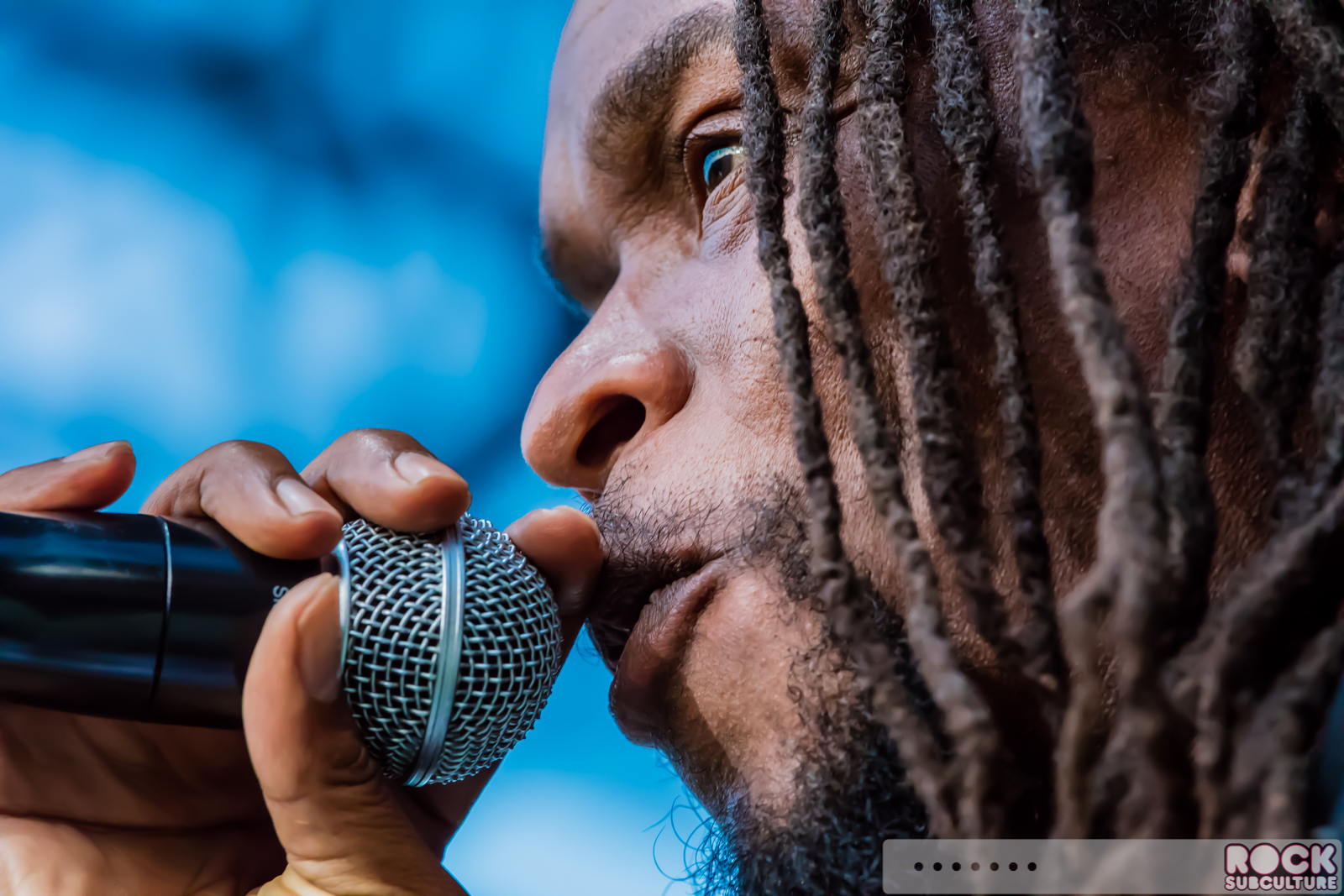 Rock-Subculture-Journal-Concert-Photos-2016-Jason-DeBord-Photography-266