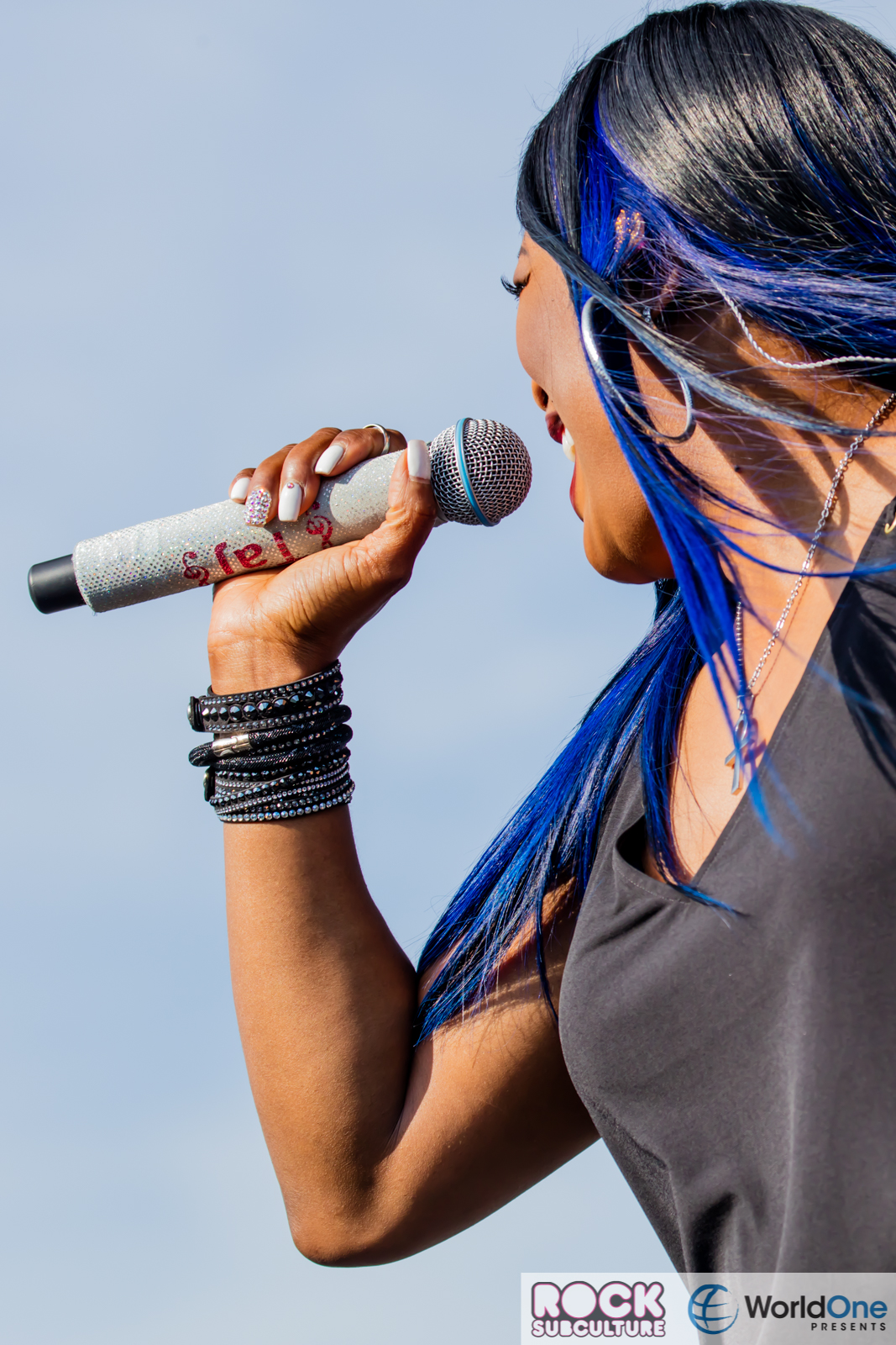 Rock-Subculture-Journal-Concert-Photos-2016-Jason-DeBord-Photography-274