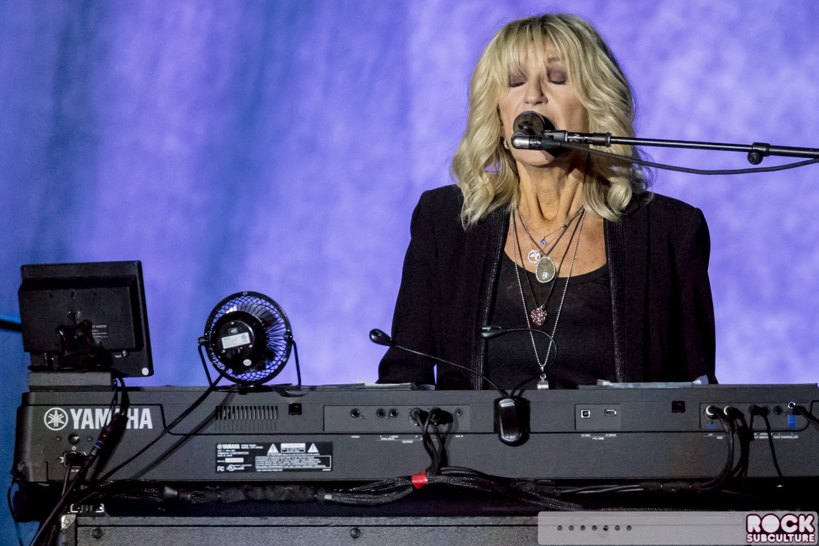 Lindsey-Buckinghamd-Christine-McVie-Concert-Tour-2017-Ironstone-564