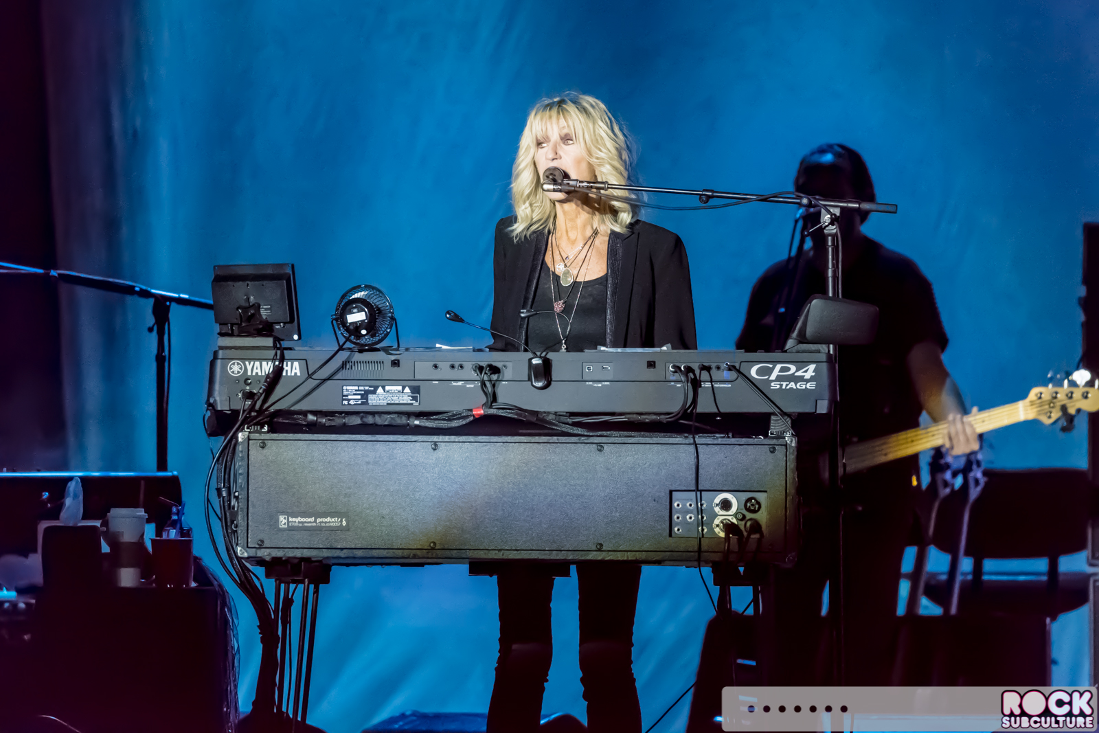 Lindsey-Buckinghamd-Christine-McVie-Concert-Tour-2017-Ironstone-572