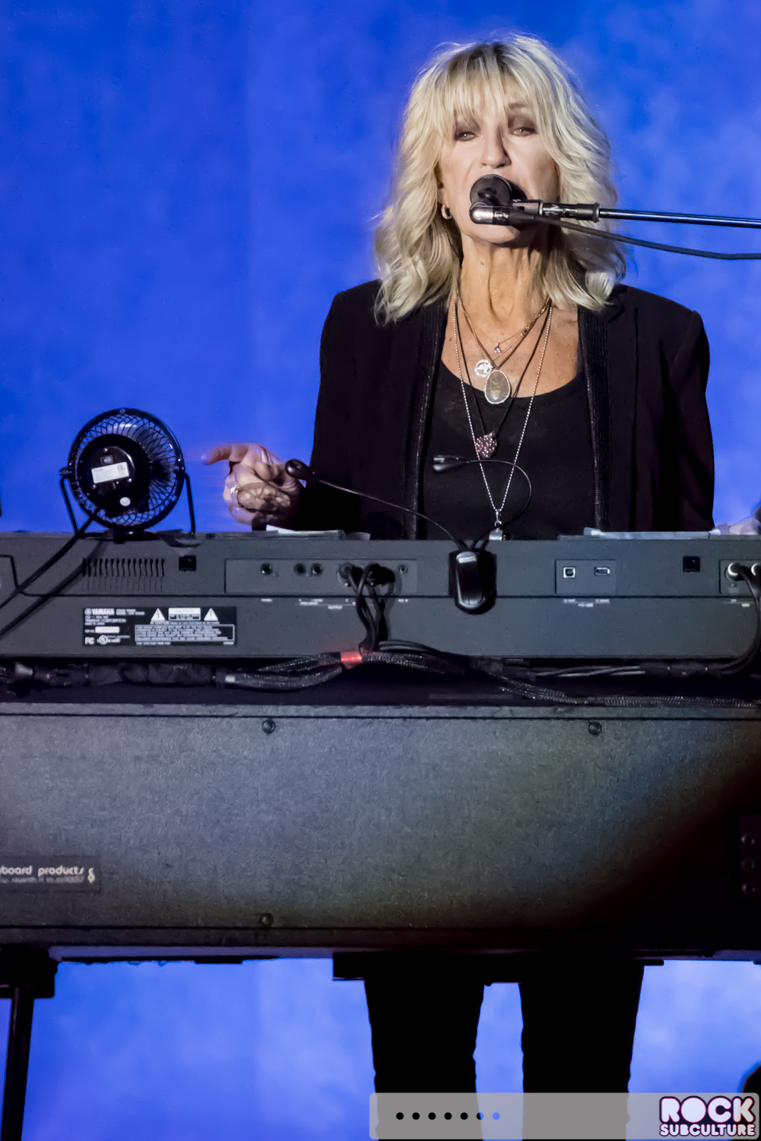 Lindsey-Buckinghamd-Christine-McVie-Concert-Tour-2017-Ironstone-608