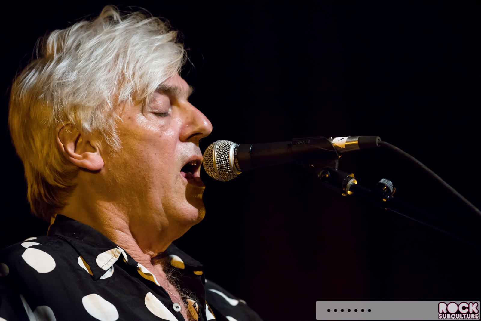 Psychedelic-Furs-Singles-Tour-2017-Concert-Live-Photos-Review-Grass-Valley-012
