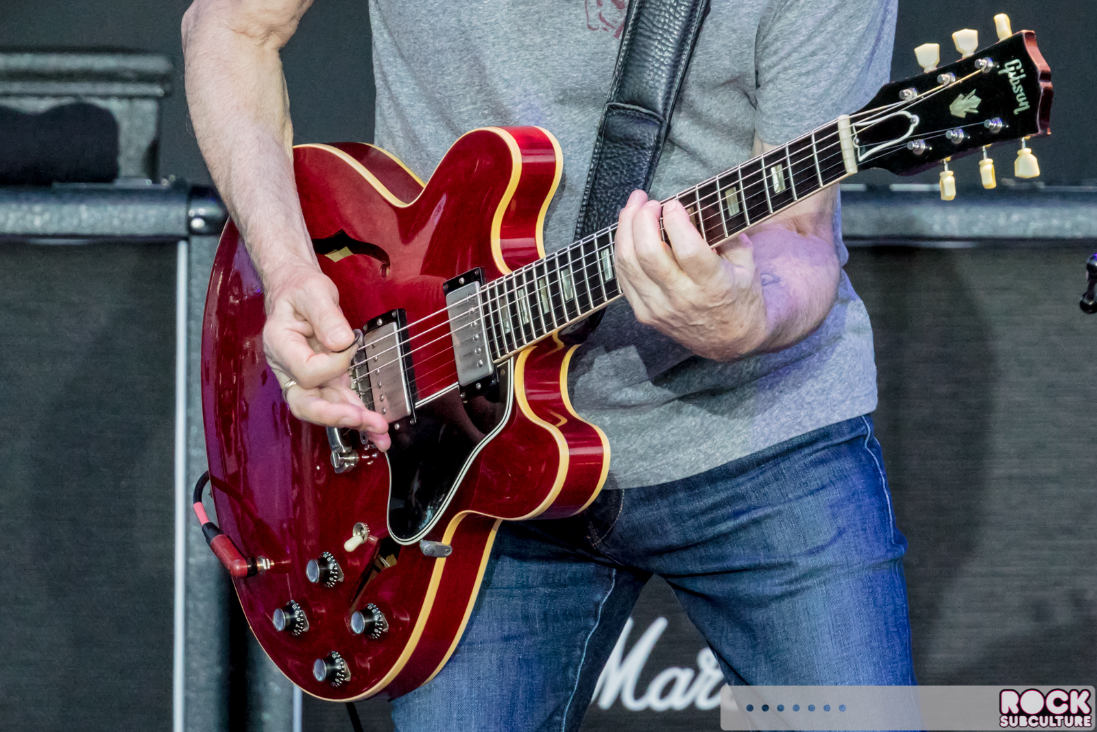 Steve-Miller-Band-Peter-Frampton-2017-Tour-Concert-Photos-Ironstone-Winery-385
